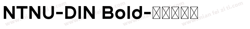 NTNU-DIN Bold字体转换